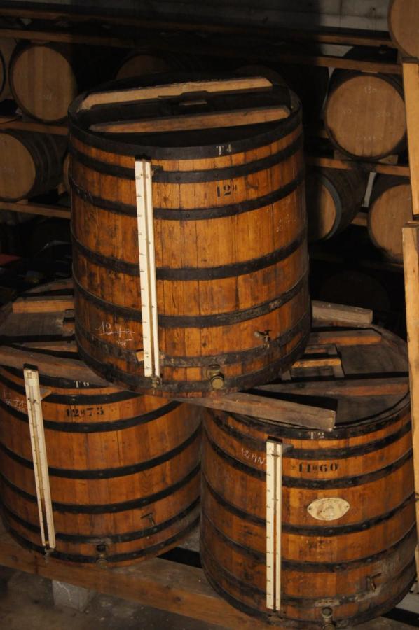 Chateau De Mons Armagnac Caussens Eksteriør bilde